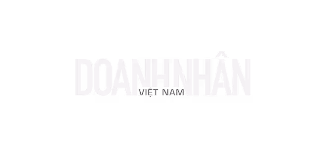 Text logo reading 'DOANH NHÂN VIỆT NAM' in bold uppercase letters.