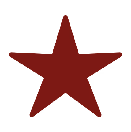 You First support services star Icon