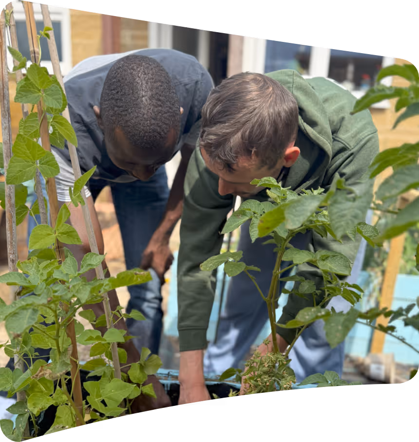 tending to a garden