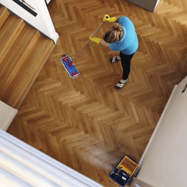 Úklid po rekonstrukci Modrý Žralok s.r.o.