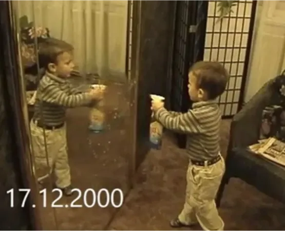Historie Modrého Žraloka 2000