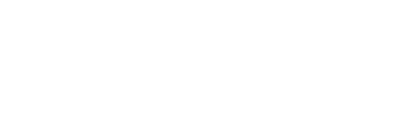 Make A Wish Logo