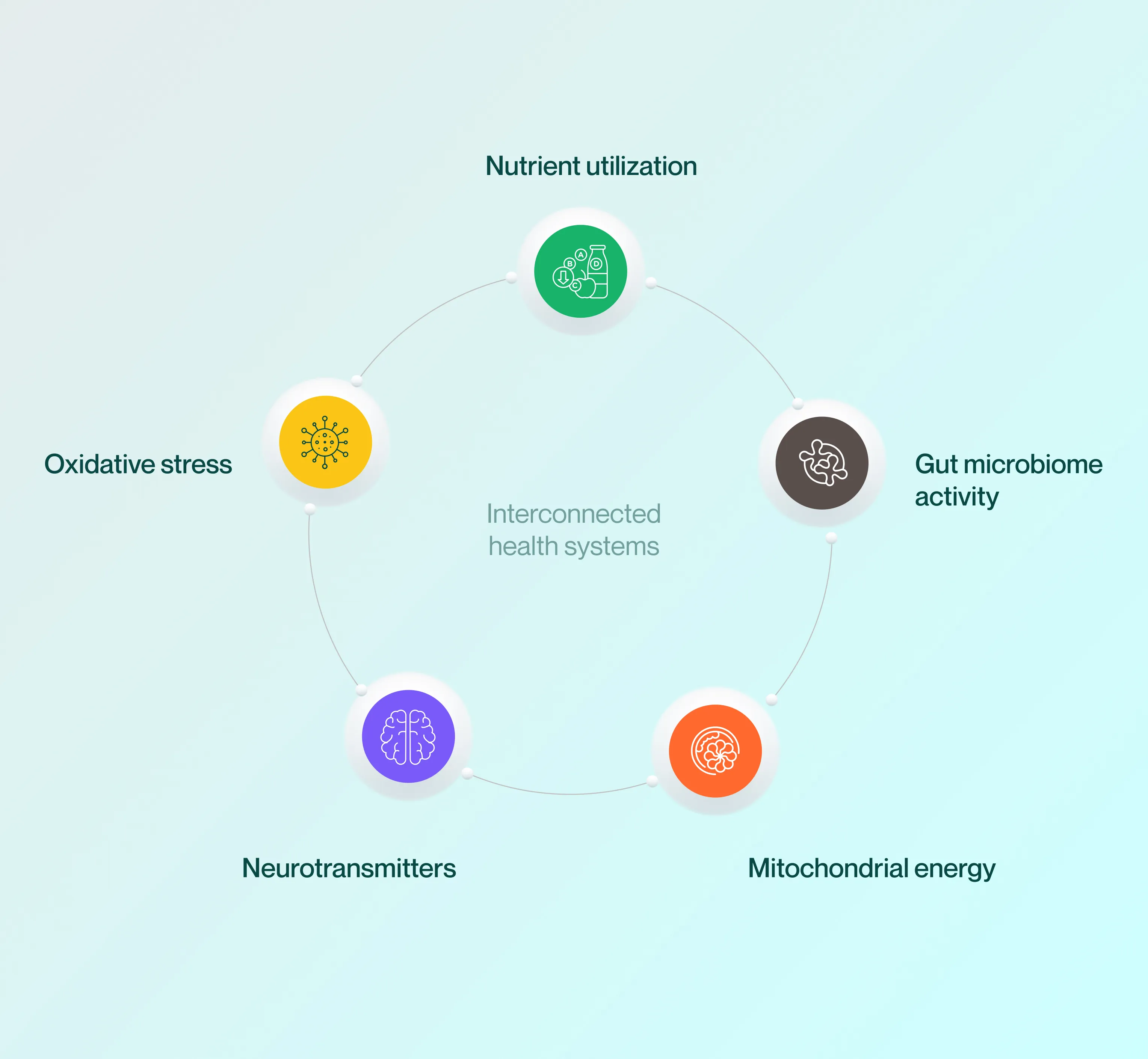 Circular diagram titled Interconnected health systems showing Nutrient utilization, Gut microbiome activity, Mitochondrial energy, Neurotransmitters, and Oxidative stress with corresponding icons.