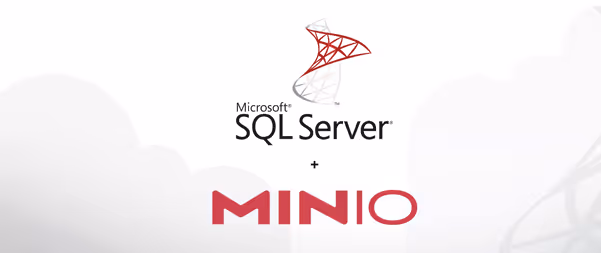 Microsoft SQL Server and Minio logo on white background