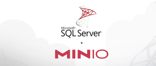 Microsoft SQL Server and Minio logo on white background