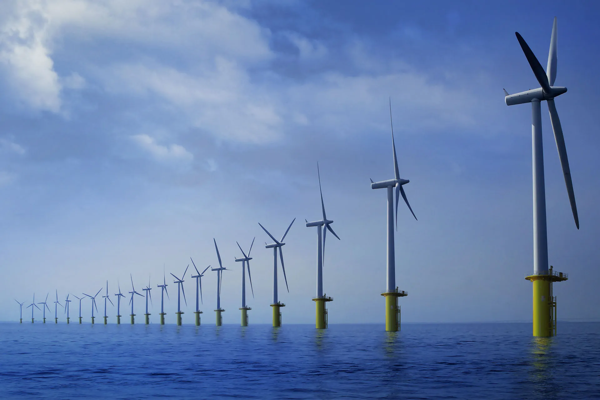 Wind farm with monopile foundations