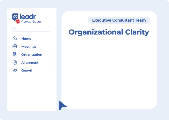 Screenshot of Leadr Team Clarity section for consultants, highlighting priorities and responsibilities