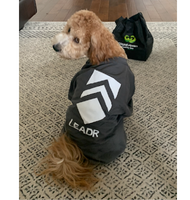 Dog in Leadr t-shirt