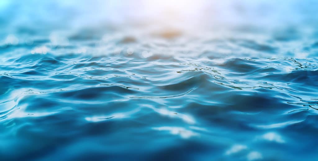 Water Damage Restoration in Tarpon Springs, Florida