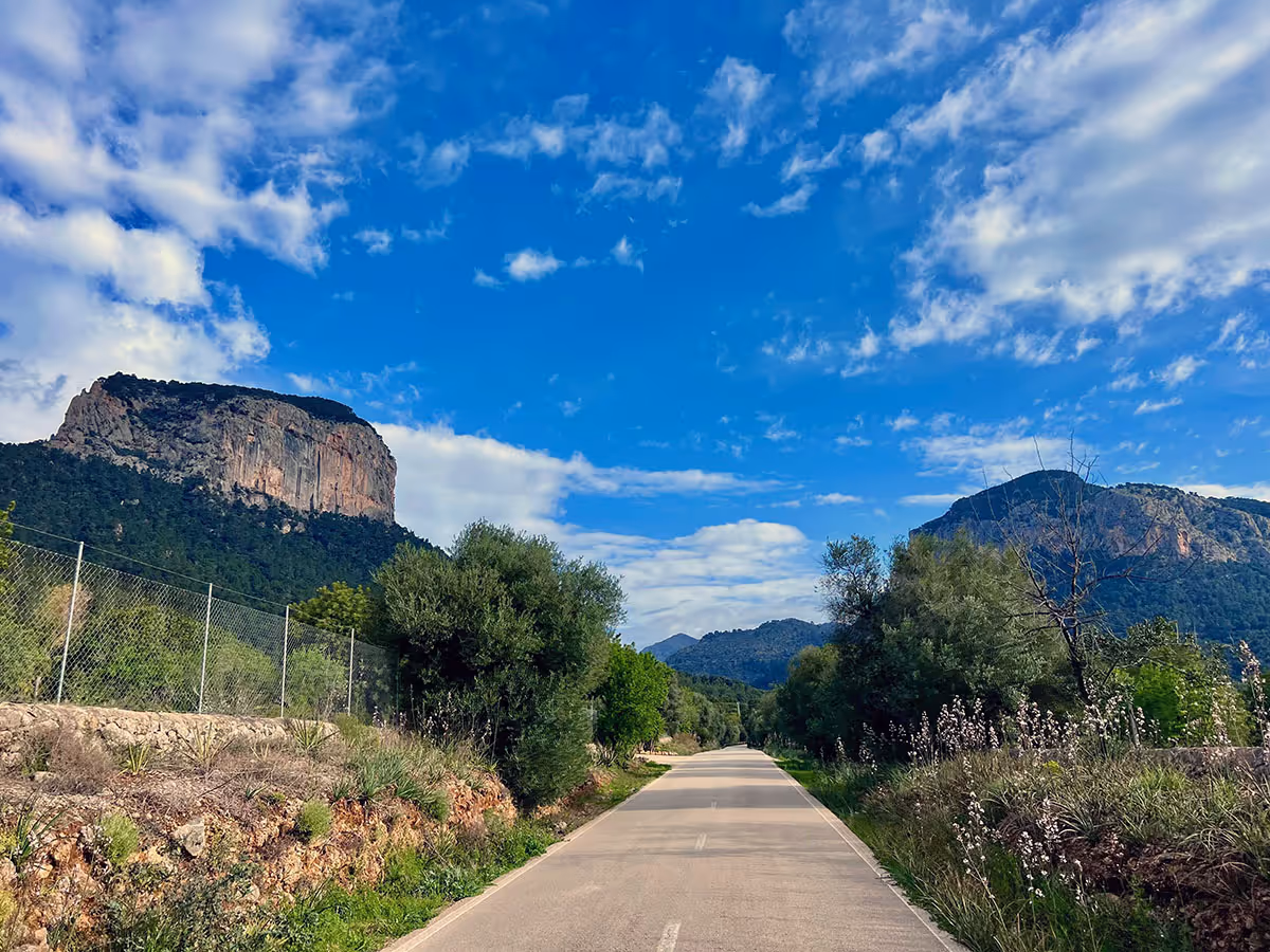 alaro road
