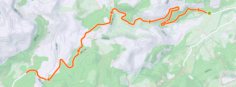 Topographic map showing a hiking trail marked with a red line winding through elevation contours and green forested areas.