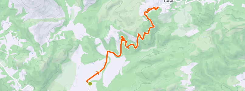 Topographic map showing a winding orange trail leading to Galilea through green and gray terrain.