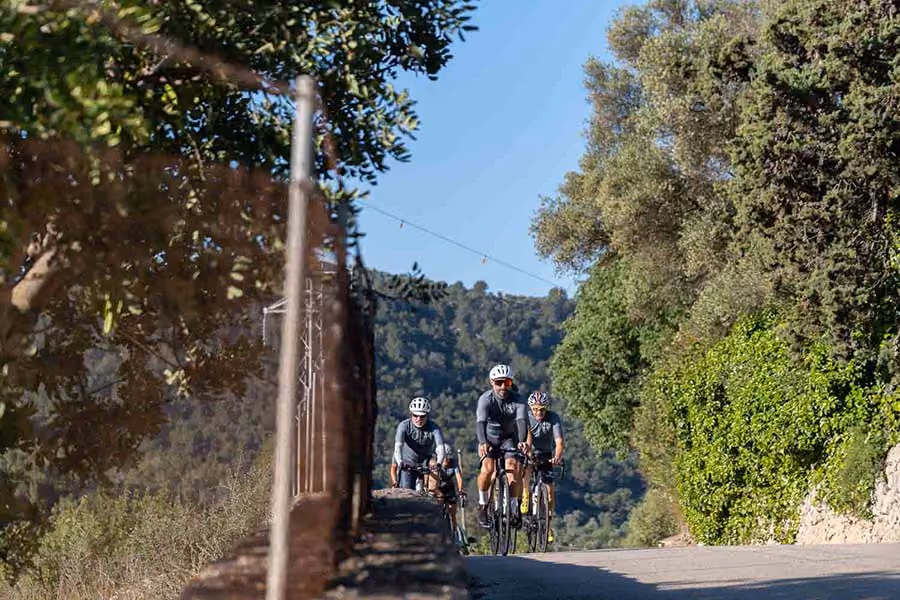 Four cyclists wearing helmets ride on a sunlit road surrounded by trees and greenery.