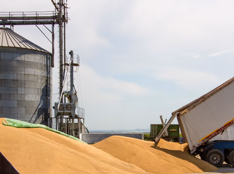 Hopper bottom trailer unloading grain at elevator for commercial dry bulk hauling services
