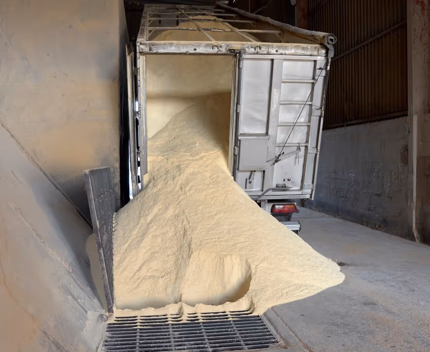 Bulk trailer unloading corn flour at warehouse for commercial dry bulk transport services