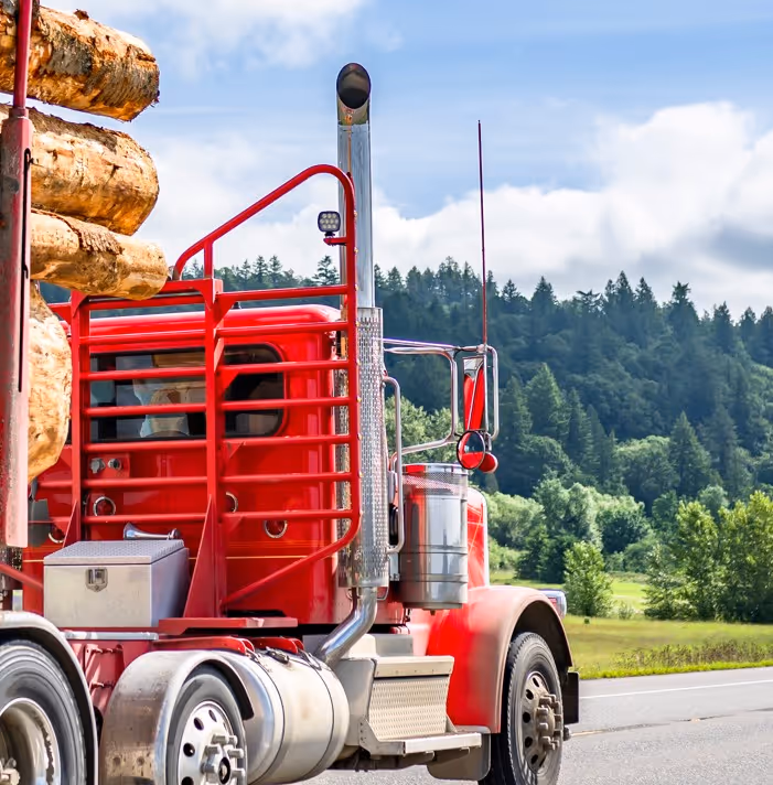 Log truck hauling raw timber on mountain road for commercial forest product transport services