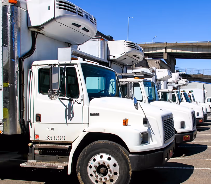 Fleet of white refrigerated trucks for food-grade liquid transport and delivery services