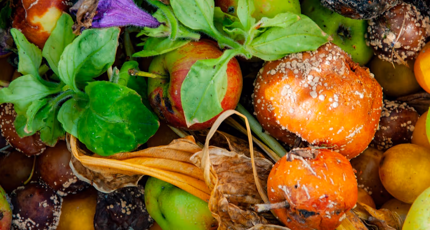 Expired produce waste for composting facilities and agricultural recycling transport