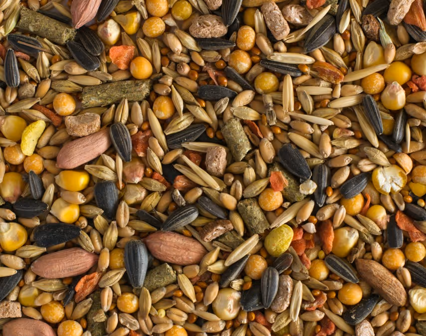 Custom livestock feed mix for farm operations and bulk agricultural hauling