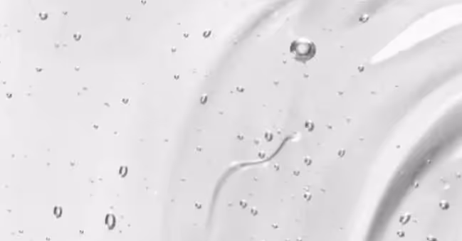 Food-grade emulsifier solutions for processing plants and sanitary tanker transport