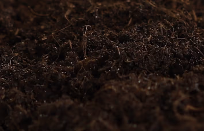 Enriched bioengineered topsoil for sustainable landscaping bulk delivery and transport