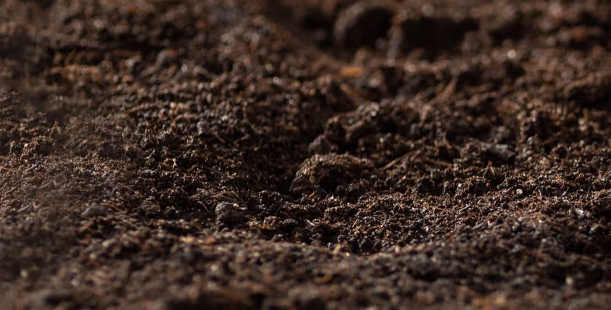 Professional greenhouse soil for nursery growing medium bulk delivery and transport