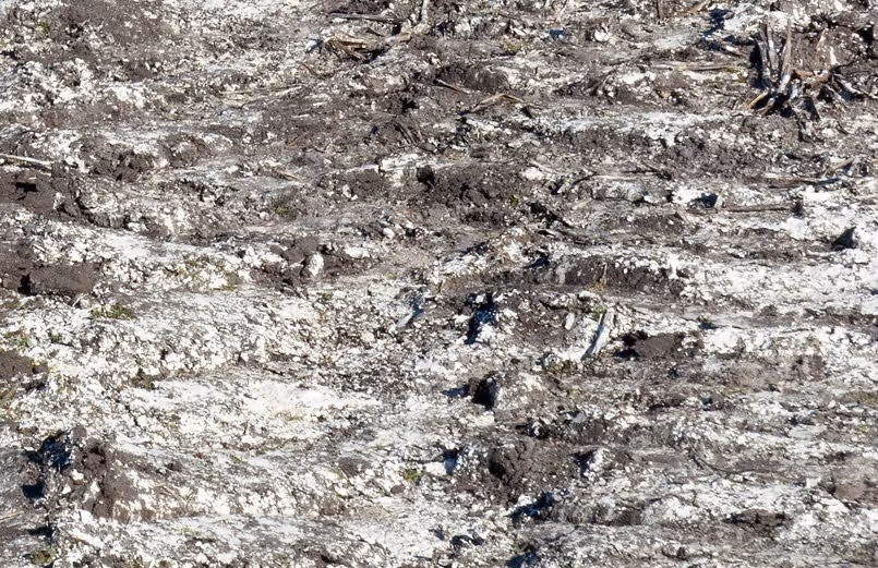 Lime stabilized soil with white calcium deposits requiring specialized excavation support and soil removal