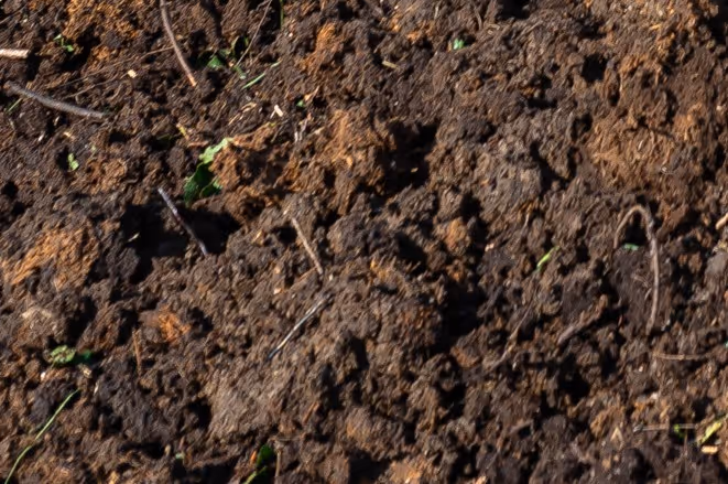 Dark organic peat soil and root matter from wetland excavation requiring specialized environmental excavation support services