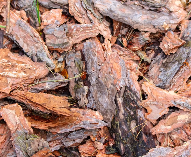 Dark organic peat soil and root matter from wetland excavation requiring specialized environmental excavation support services