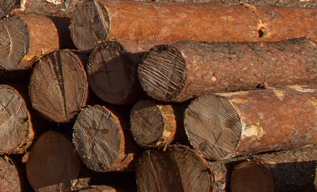Stacked commercial timber logs and lumber for construction requiring heavy-duty forestry product transport and delivery