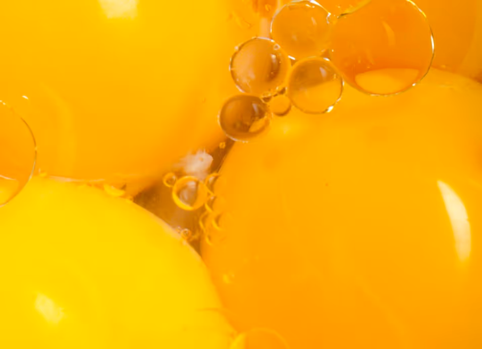 Golden liquid egg yolks and egg products with bubbles requiring specialized food-grade egg hauling and dairy transport services