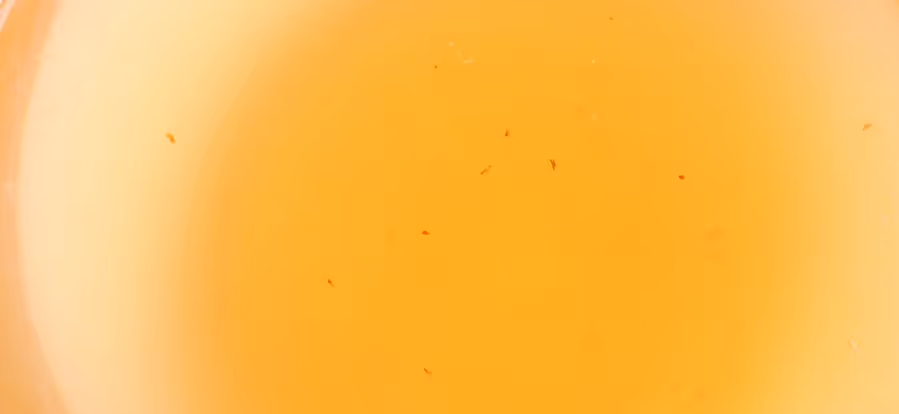 Liquid deicer solution for commercial pre-treatment and winter road maintenance