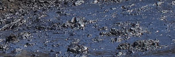 Black petroleum-contaminated soil and waste for environmental cleanup and hazmat disposal services