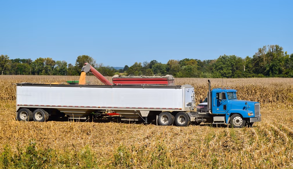 Blue truck with white hopper trailer for grain transport and agricultural commodity hauling services