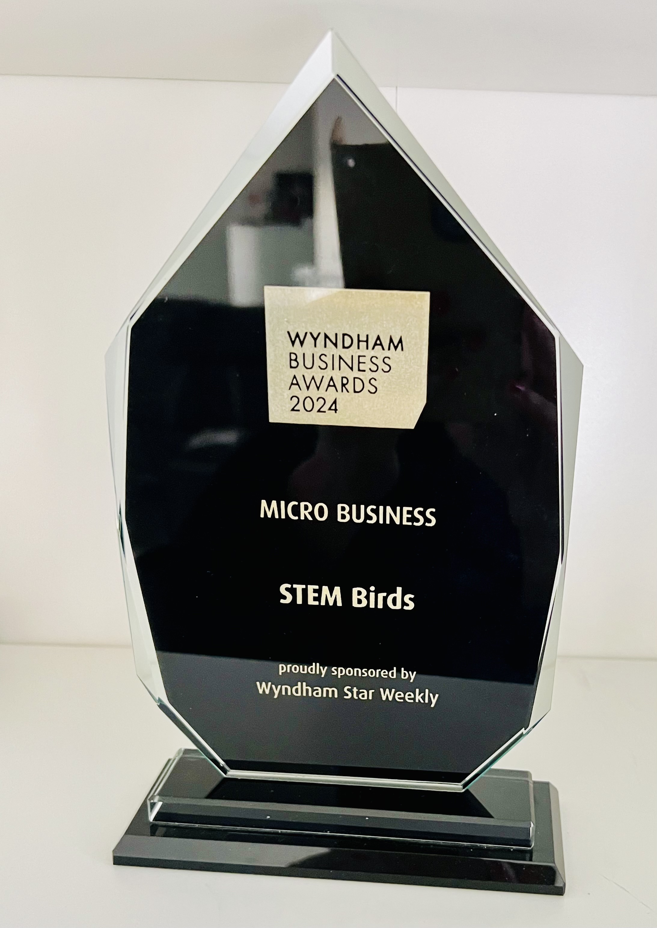 Wyndham Business Awards 2024 trophy for Micro Business awarded to STEM Birds, sponsored by Wyndham Star Weekly.
