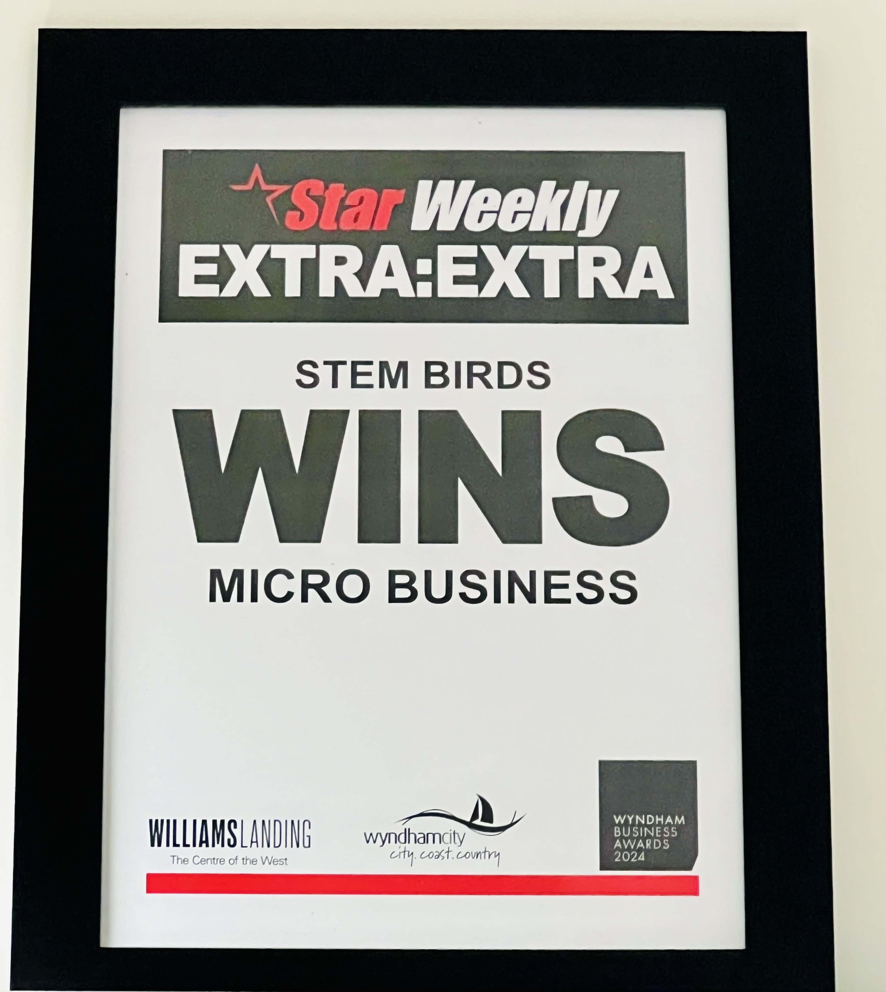 Framed award plaque from Star Weekly Extra honoring Stem Birds for winning Micro Business at Wyndham Business Awards 2024.