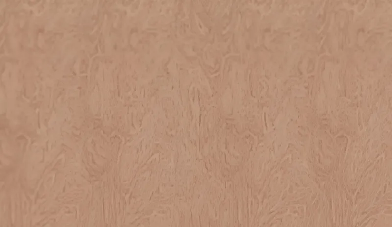 Elm Burl wood-inspired interior wall panel for outdoor kitchen