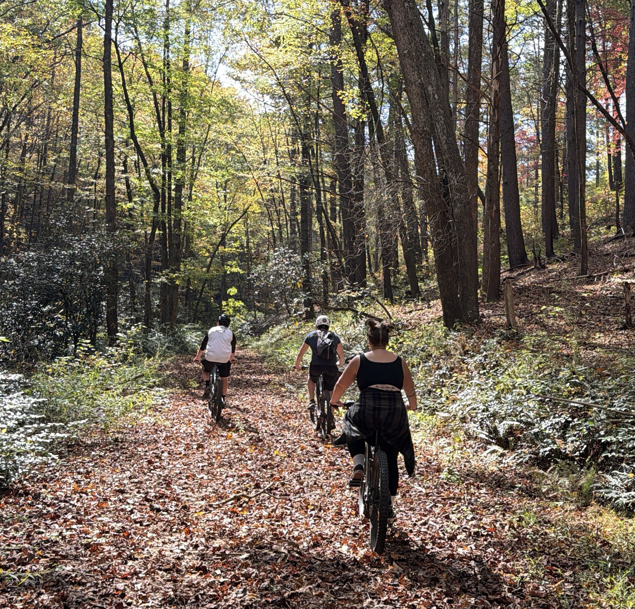 Riders on a leaf-covered trail at Burton in the fall