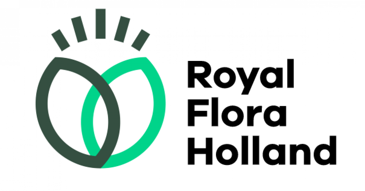 Royal flora holland