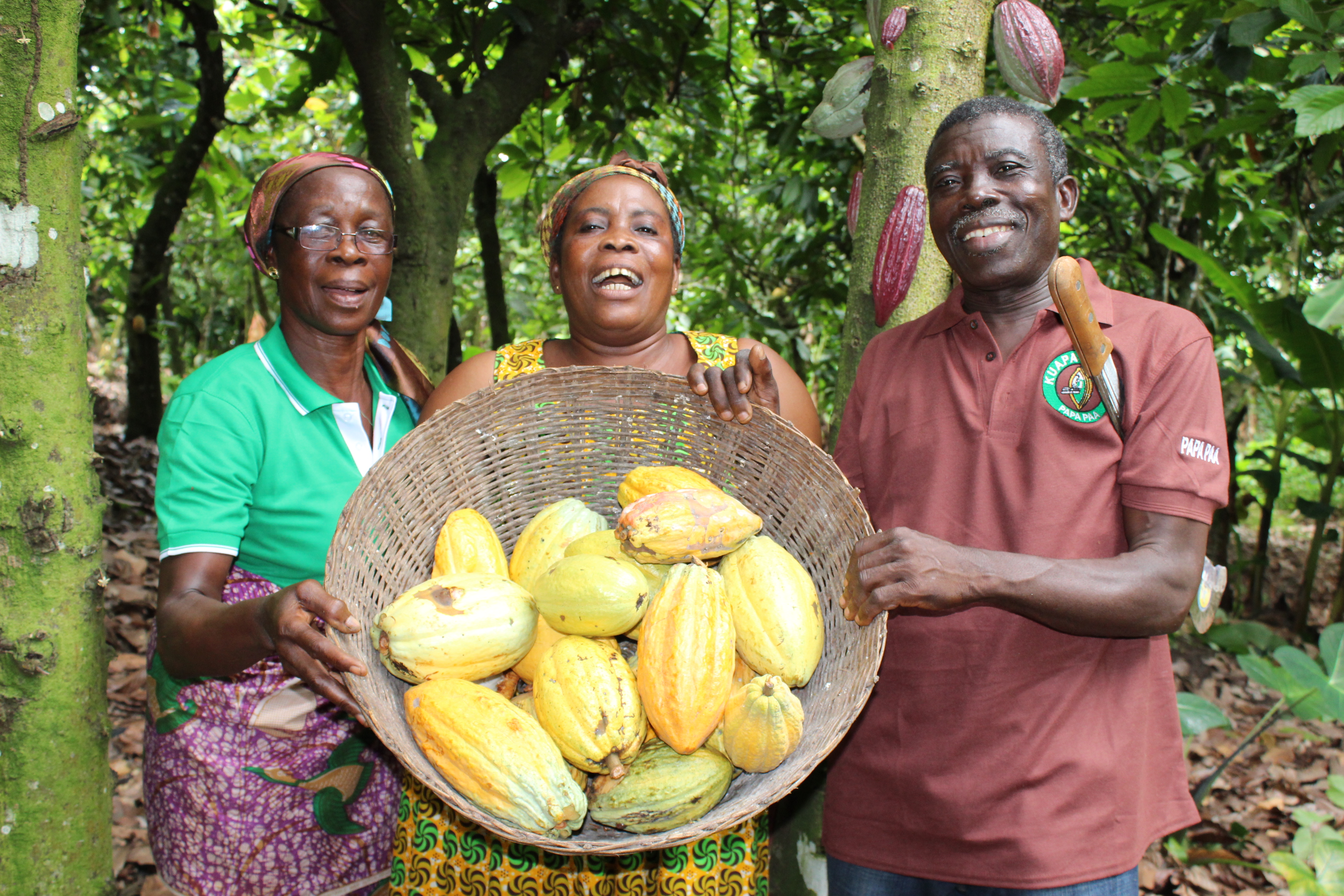 The Future of Farmer Empowerment