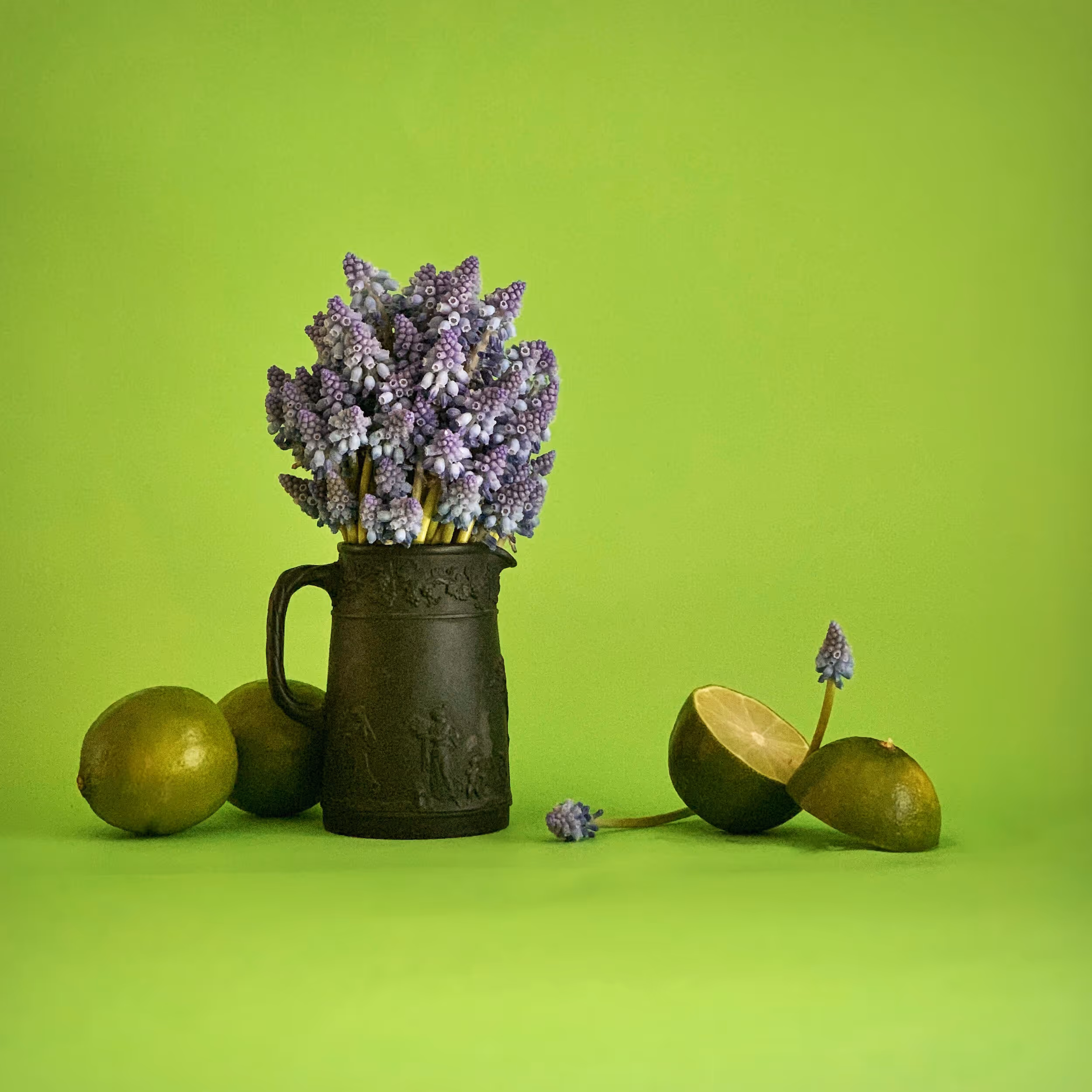 Purple flowers in an iron jug vase with limes sitting around, all against a lime green backdrop