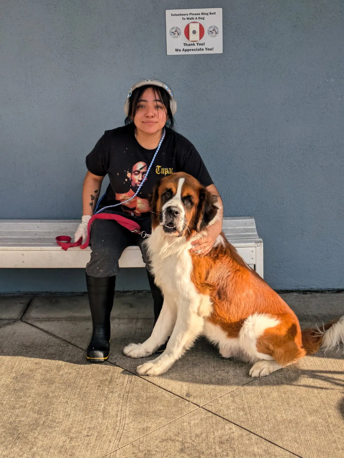 Alyssa Hernandez with large breed St. Bernard dog