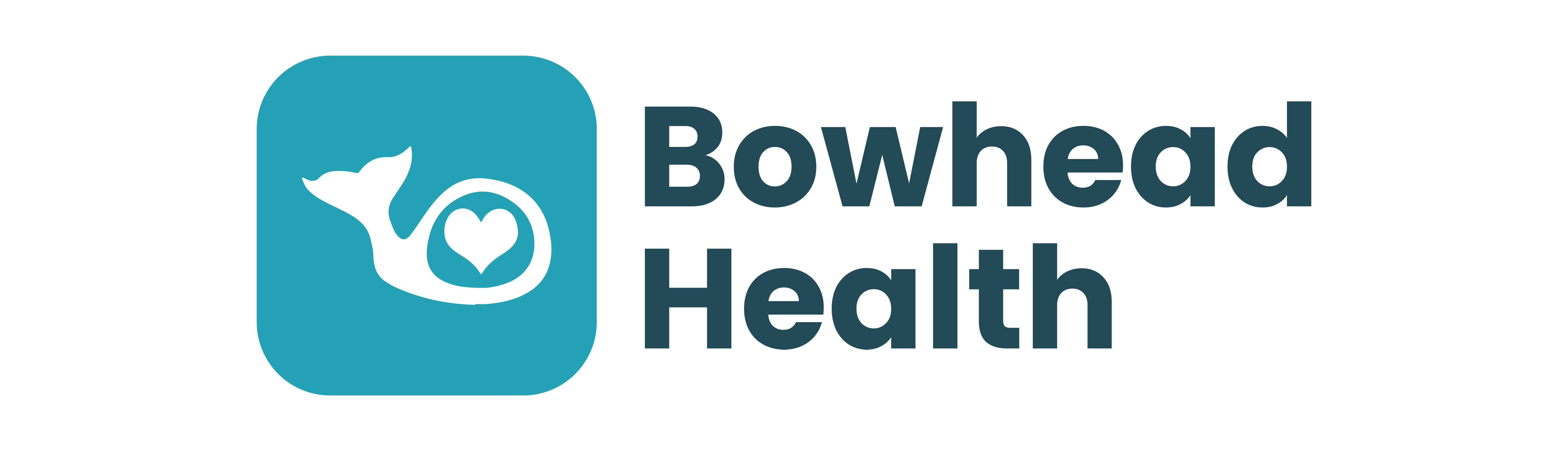 Logo Bowhead Health