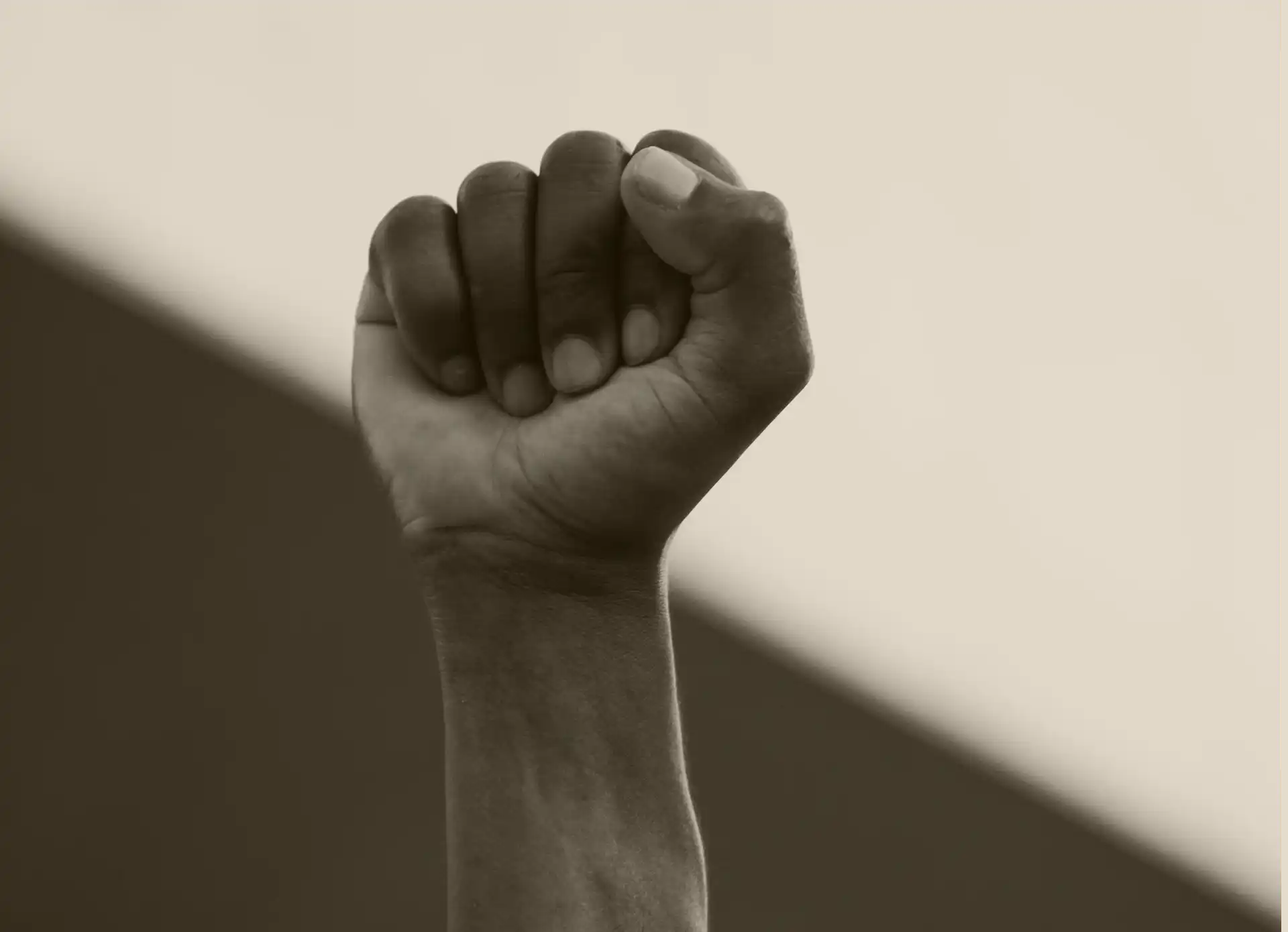 A fist up in the air