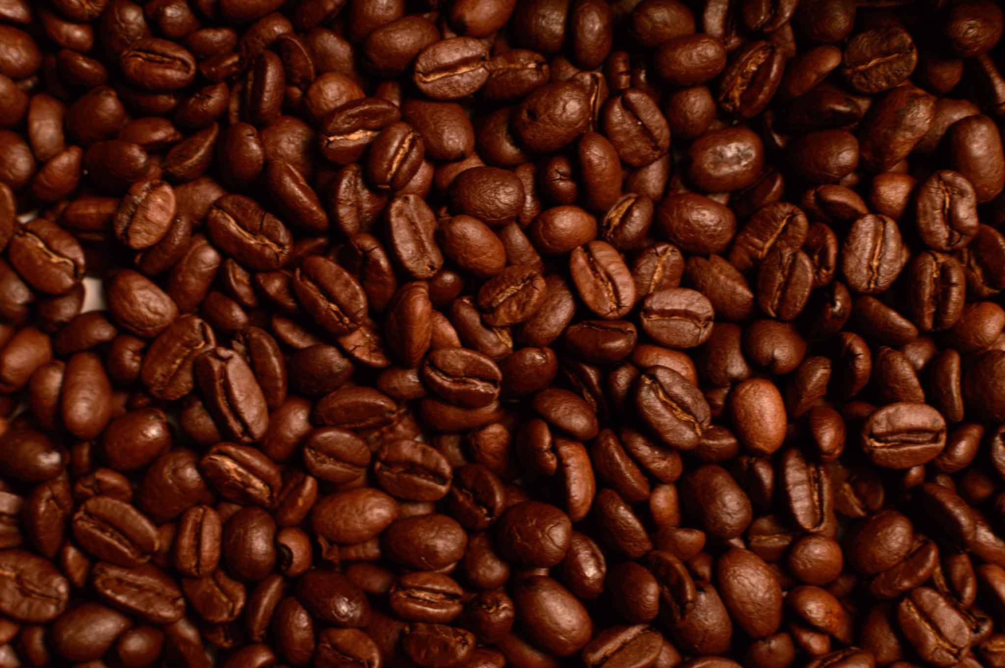 Coffe beans for Bacata Colombian Coffee, a cozy coffee shop based in Ottawa Ontario Canada specializing in specialty coffee, serving 100% Colombian coffee with artisanal filtered brewing methods. Authentic Colombian coffee shop in Ottawa serving specialty coffee, traditional Colombian espresso, fresh arepas, homemade empanadas, and Latin American pastries. Experience real Colombian flavor with locally roasted coffee beans, handcrafted drinks, and delicious Colombian food in a warm, welcoming café atmosphere. Perfect for coffee lovers looking for the best Colombian café in Ottawa, Ontario.