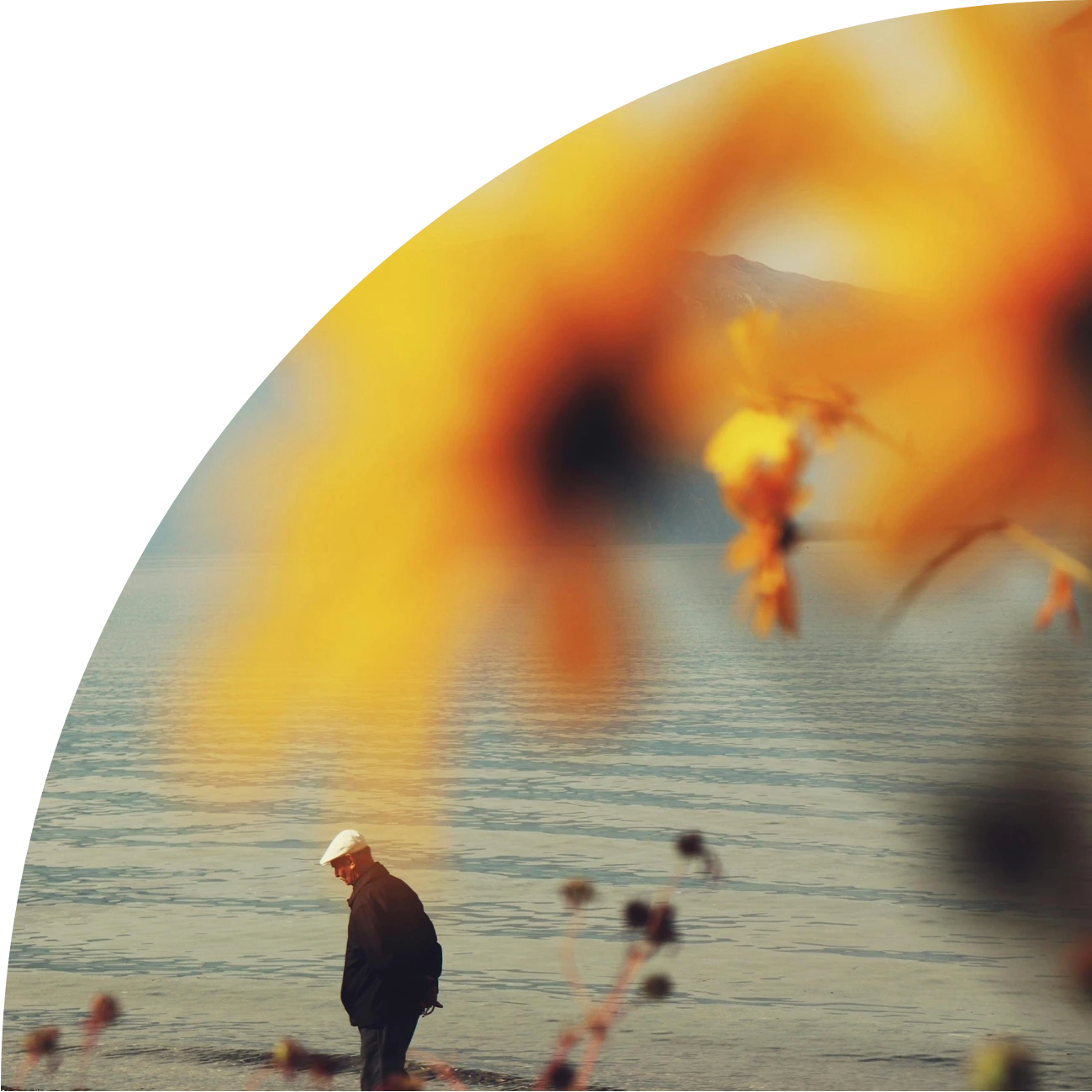 Lori Pereira Image Person Walking next to a lake