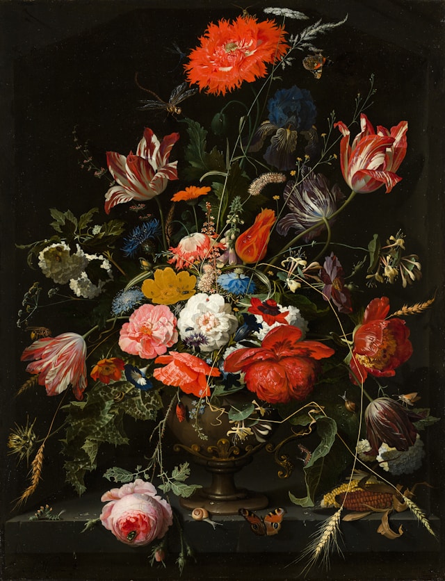 Collection Image