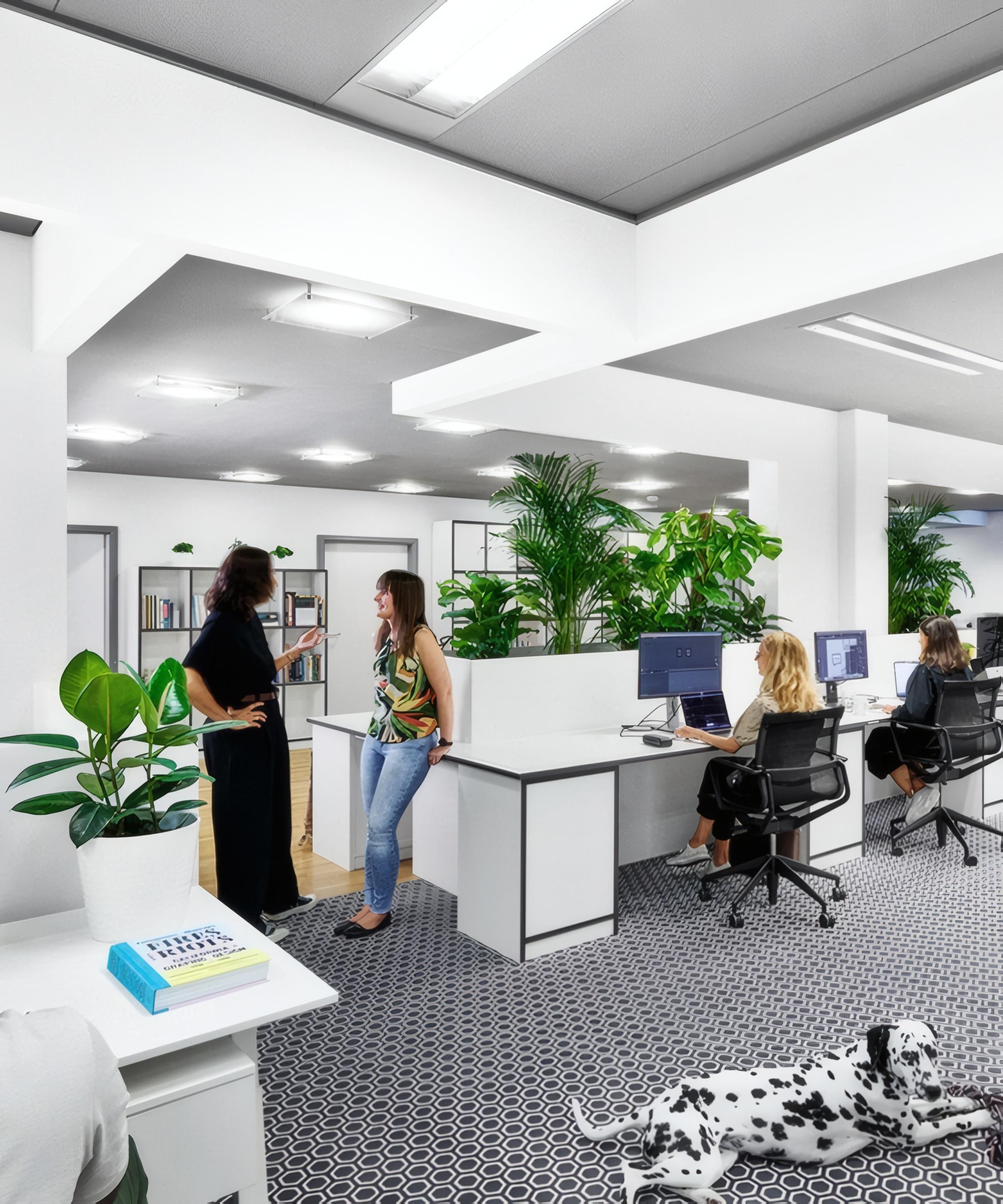 SNK office with working and talking employees and a dog on the floor