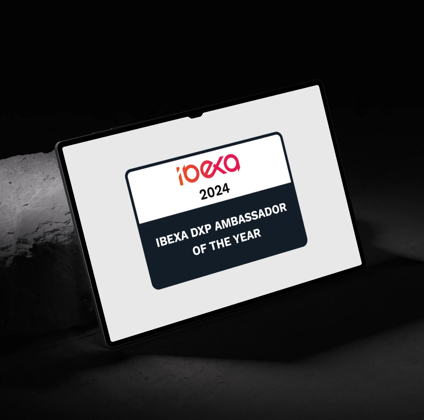 Foto mit zwei Kreisen die ineinander laufen, bei der Überschneidung ist ein Herz und in dem rechten Kreis steht Ibexa und links SNK