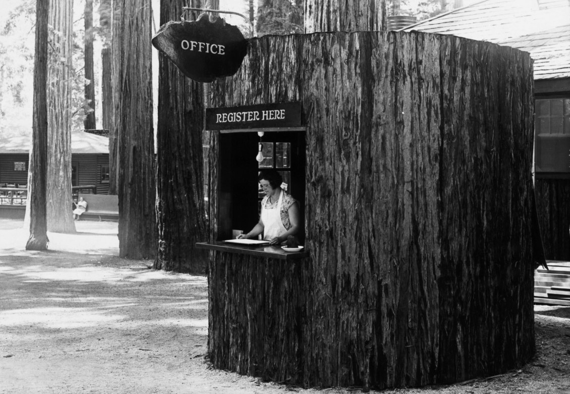 A rustic registration office made from tree bark, featuring a window labeled "REGISTER HERE" and a sign above that says "OFFICE". A person stands at the window in a wooded area with several trees in the background.
